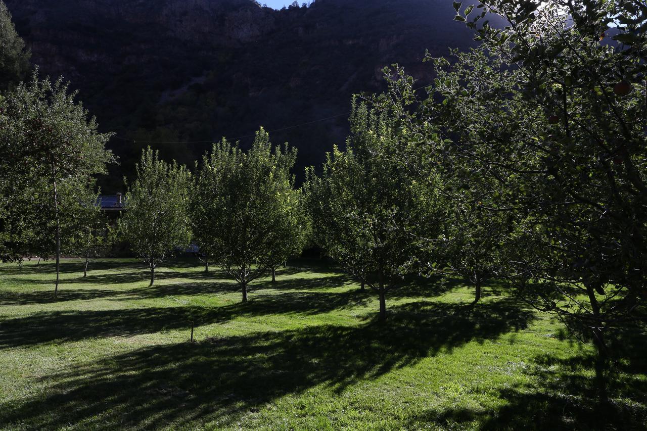 Orchard Canyon On Oak Creek Седона Экстерьер фото